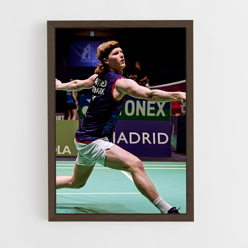 Poster Badminton Fever (vue 5)